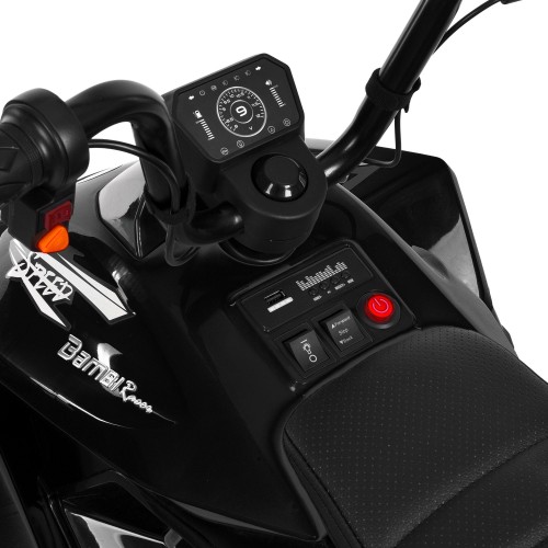 Детский квадроцикл M 6242EL-2(24V), черный