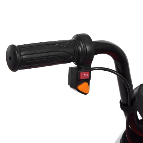 Детский квадроцикл M 6242EL-2(24V), черный
