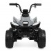 Детский квадроцикл M 6242EL-11(24V), серий