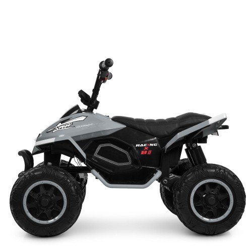 Детский квадроцикл M 6242EL-11(24V), серий