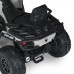 Дитячий квадроцикл M 6080EL-11(24V), сiрий