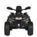 Дитячий квадроцикл M 6080EL-13(24V),