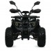 Квадроцикл HB-EATV1450H-2(MP3) V2, черный