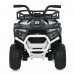 Дитячий квадроцикл M 6127EBLR-1(24V), бiлий