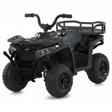 Детский квадроцикл M 6127EBLR-2(24V), черный