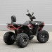 Квадроцикл бензиновый AX125-2-3, красно-черный