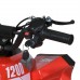 Квадроцикл E-XBW-1200-3(MP3), червоний