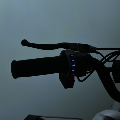 Квадроцикл E-XBW-1200-3(MP3), червоний