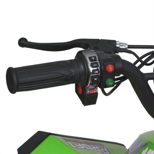 Квадроцикл E-XBW-1200-5(MP3), зелений