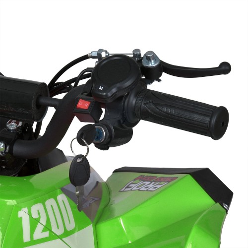 Квадроцикл E-XBW-1200-5(MP3), зелений